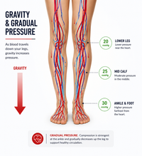 Graduated compression supports circulation from ankle to calf