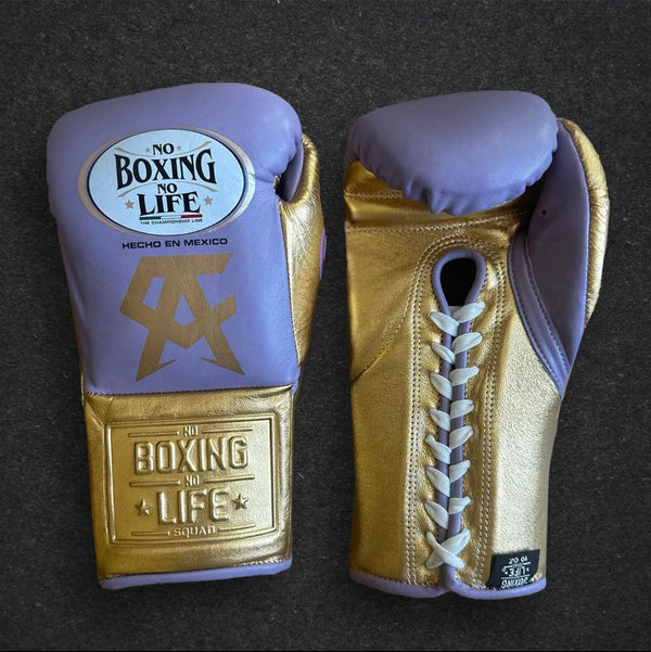Pro Mexican Boxing Gloves - Customisable My Store
