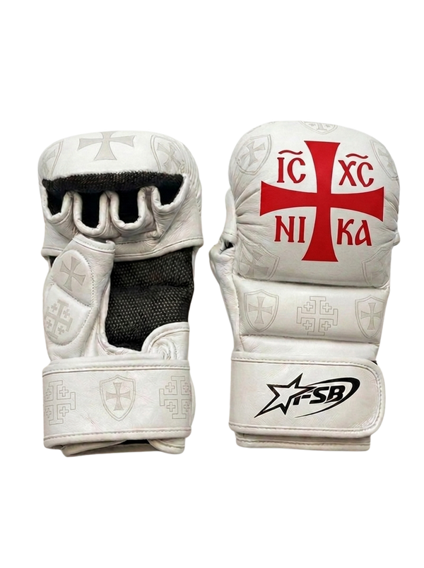 MMA Gloves